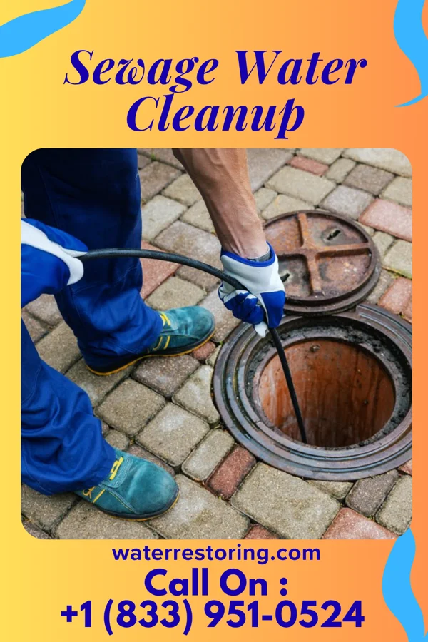 Sewage Water Cleanup in West St. Paul, MN